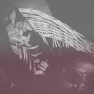 Photo of J. Wise