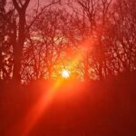 Registration photo of Winter Dawn Burns for the LexPoMo 2025 Writing Challenge.