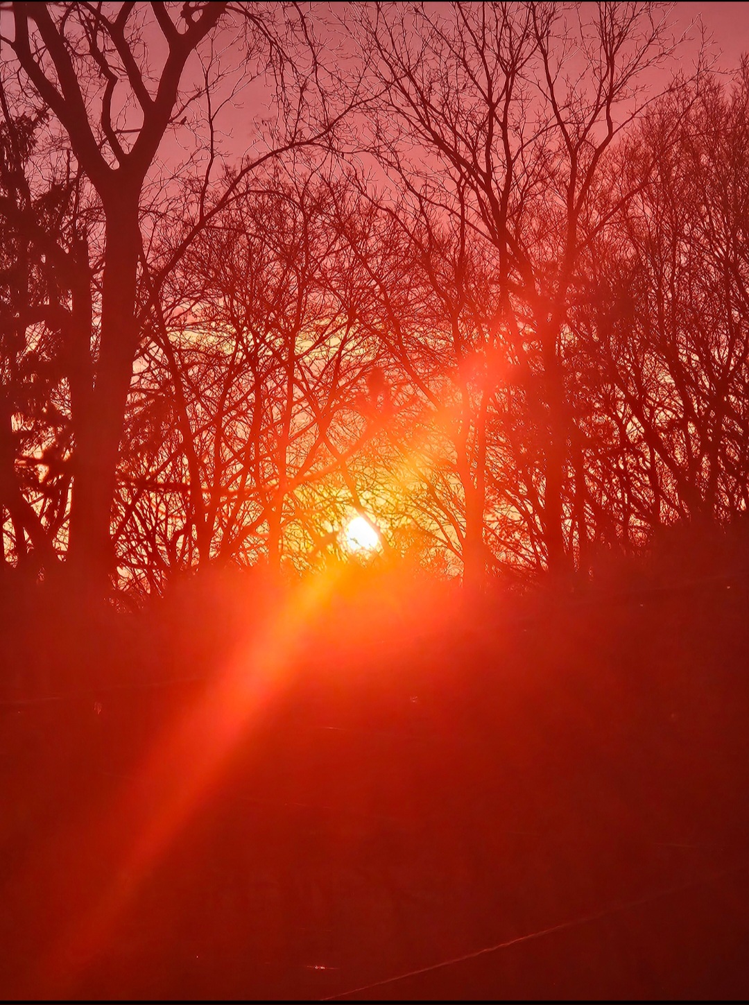 Winter Dawn Burns