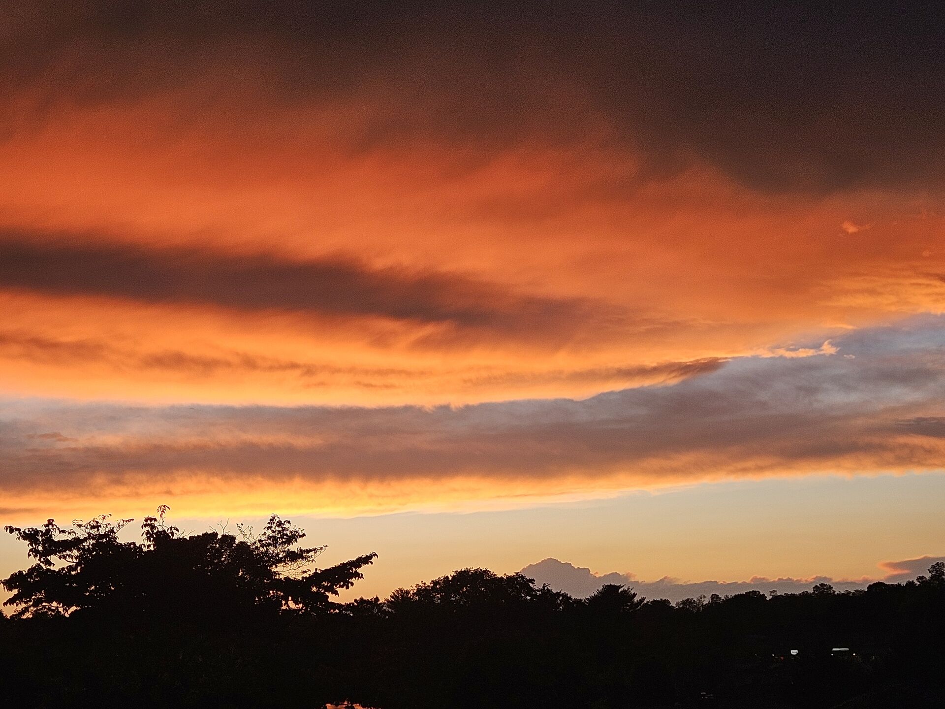 Photo of Winter Dawn Burns